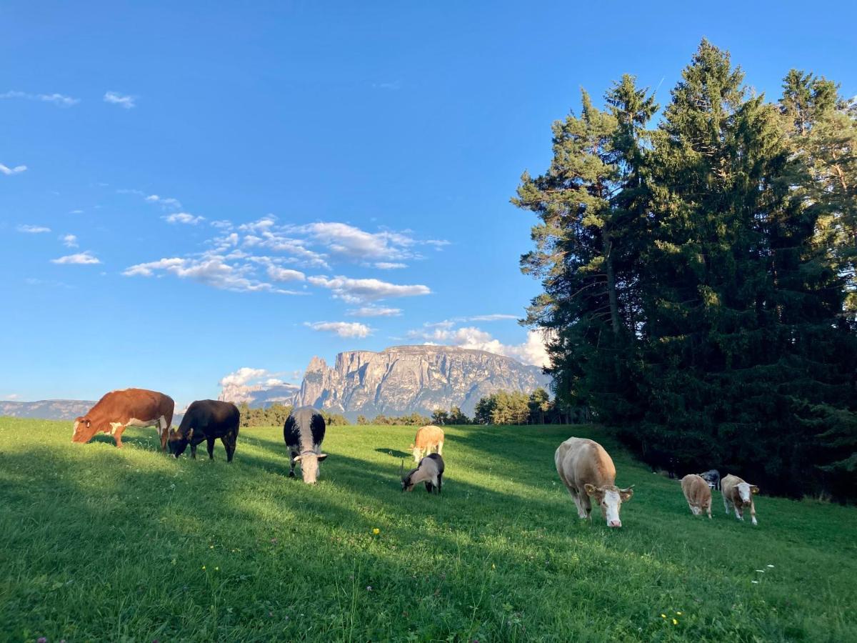 Wiesenhof Collalbo Exteriör bild